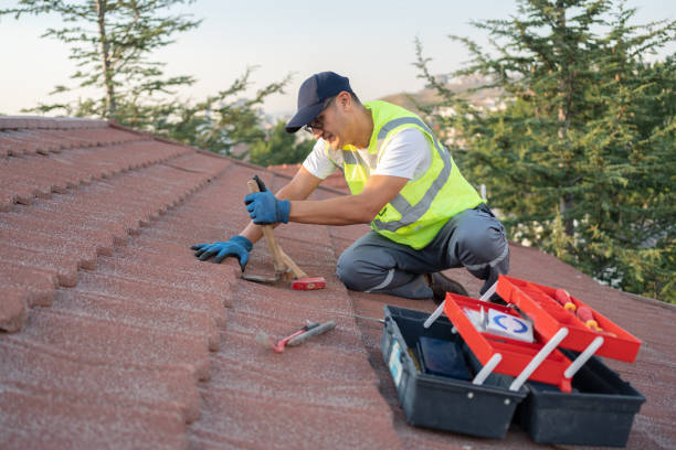 Best Metal Roofing Contractor  in Abram, TX